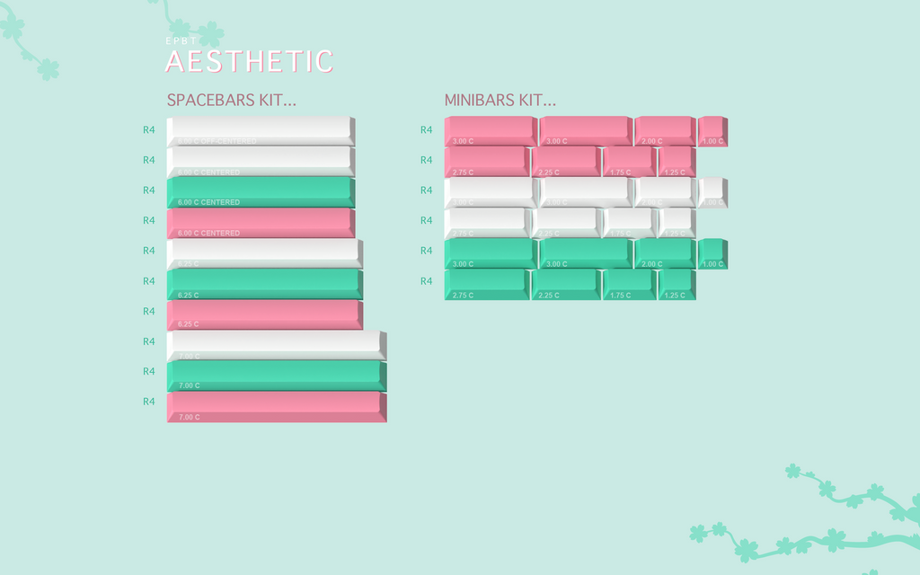 ePBT Aesthetic
